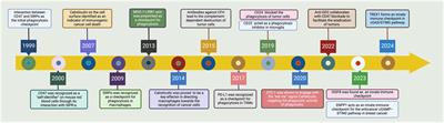 From mechanism to therapy: the journey of CD24 in cancer